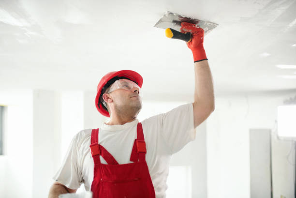 Professional Painting in Greenup, IL